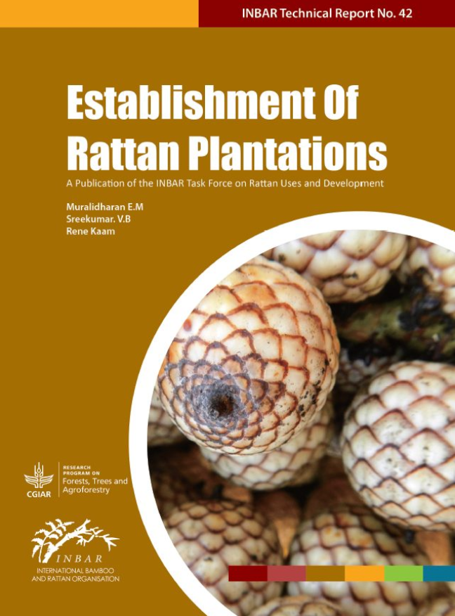 establishment of rattan plantations