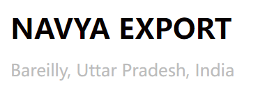 navya export logo