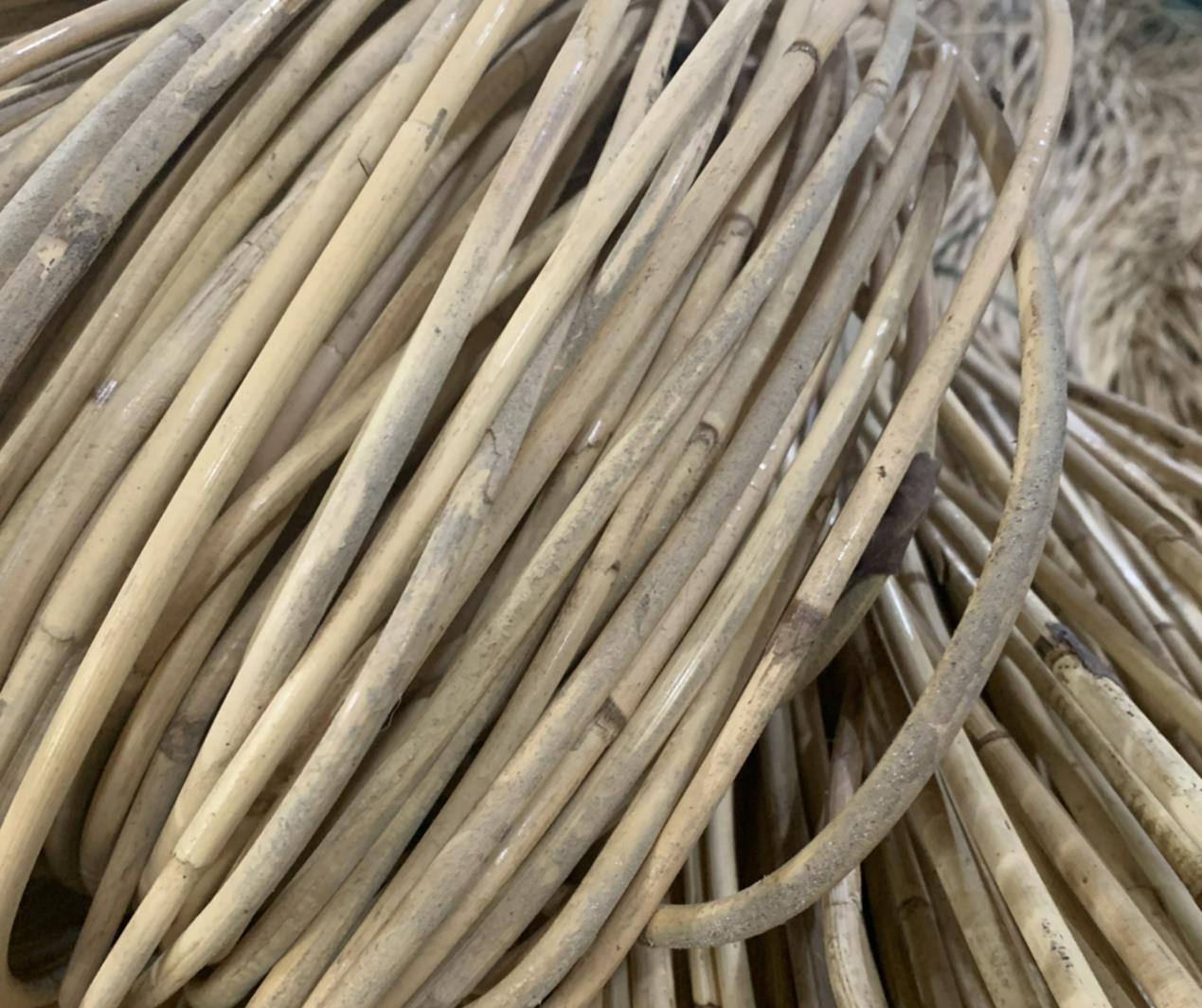 Rattan visual data 5