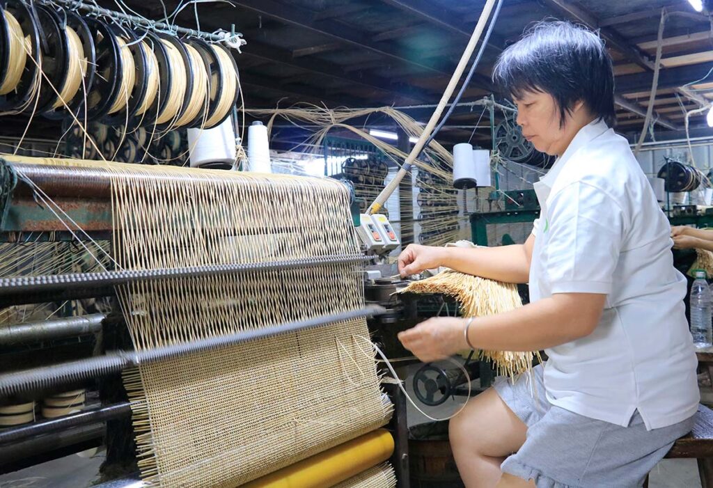 manufacturing cane webbing