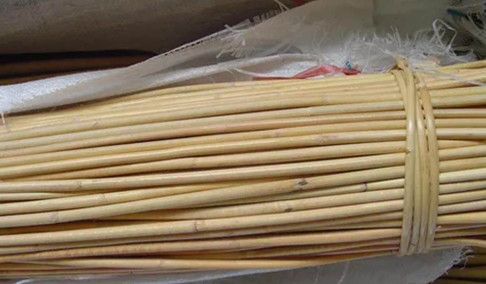 Raw Rattan Material in the Unprocessed Condition