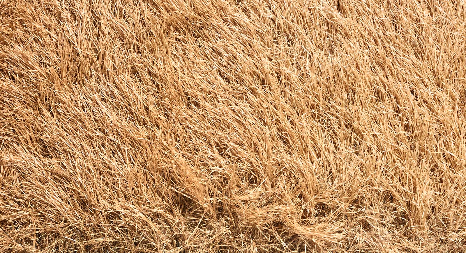 Carpet Type Thatch Residential Rooftop Décor LTR-T1